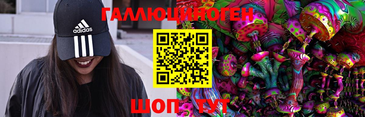Хасавюрт  Галлюциногенные грибы Psilocybe  Галлюциногенные грибы GOLDEN TEACHER  Вход с VPN 