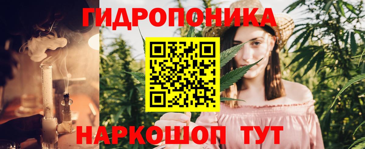 Шишки марихуана конопля Хасавюрт